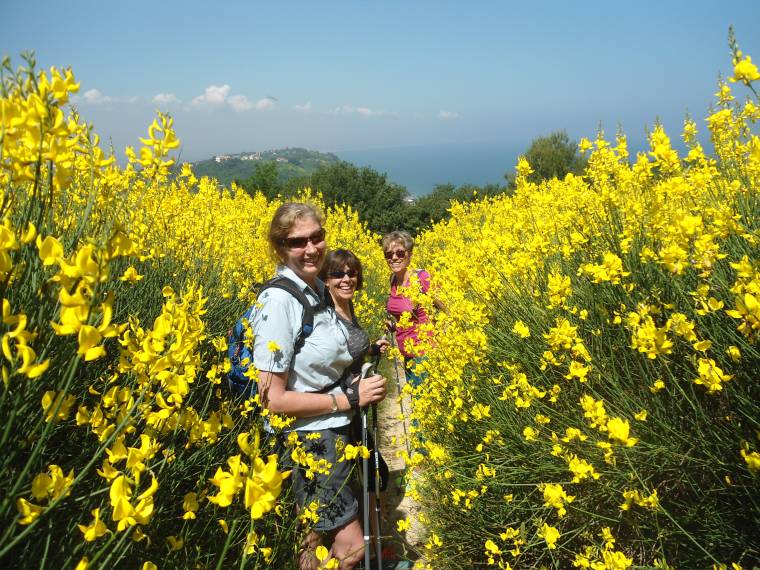 Cyclo-tourisme ou Rando-tourisme avec Riccione Bike ASBL