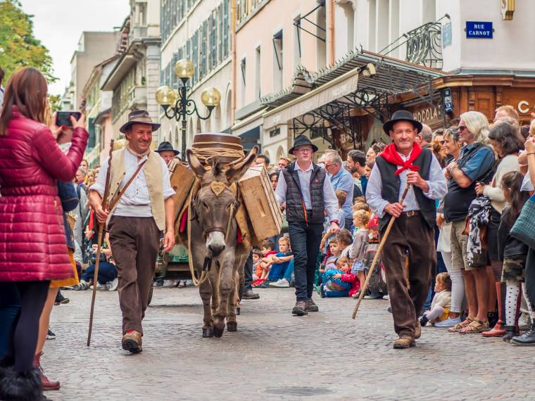 Le Retour des Alpages © Gilles Piel-10507