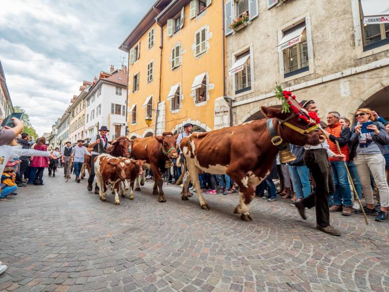 Le Retour des Alpages © Gilles Piel-10510