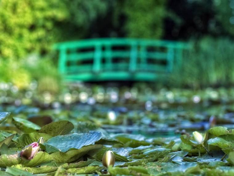 Fondation Claude Monet, Giverny ©