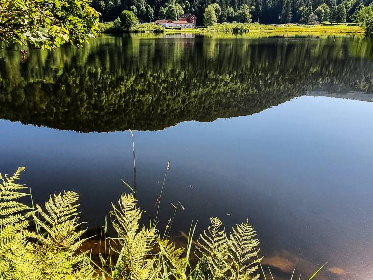 Lac de Retournemer © OT Gérardmer Hautes-Vosges
