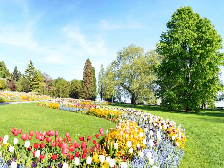 Mainau © AdobeStock_32688734