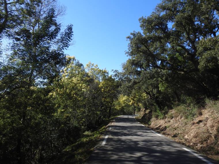 Route du Col du Canadel pendant la Route du Mimosa © OT Rayol-Canadel