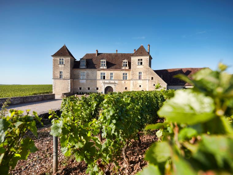 Chateau Vougeot © Serge Chapuis