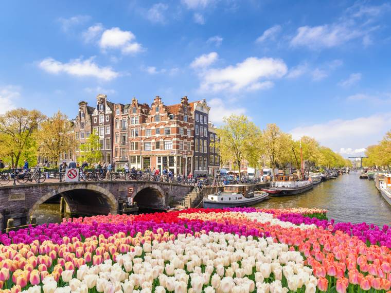 Amsterdam, festival des tulipes © AdobeStock