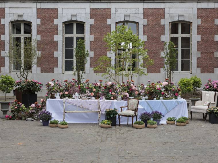 Exposition Amaryllis Lys Chateau de Beloeil 2025 © Hugues Dotrice