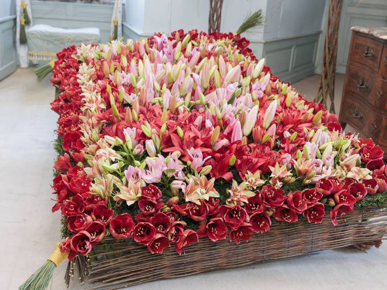 Chambre du Moulin - 1er prix grande équipe © Hugues Dotrice