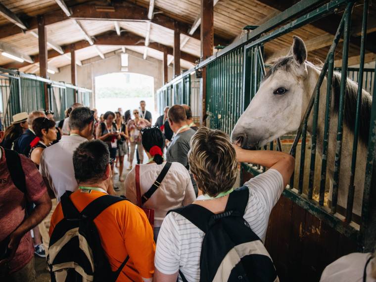 Atelier Chevaux Exploit © Puy du Fou Arthur Aumond - fin droits sept 2028 (2)