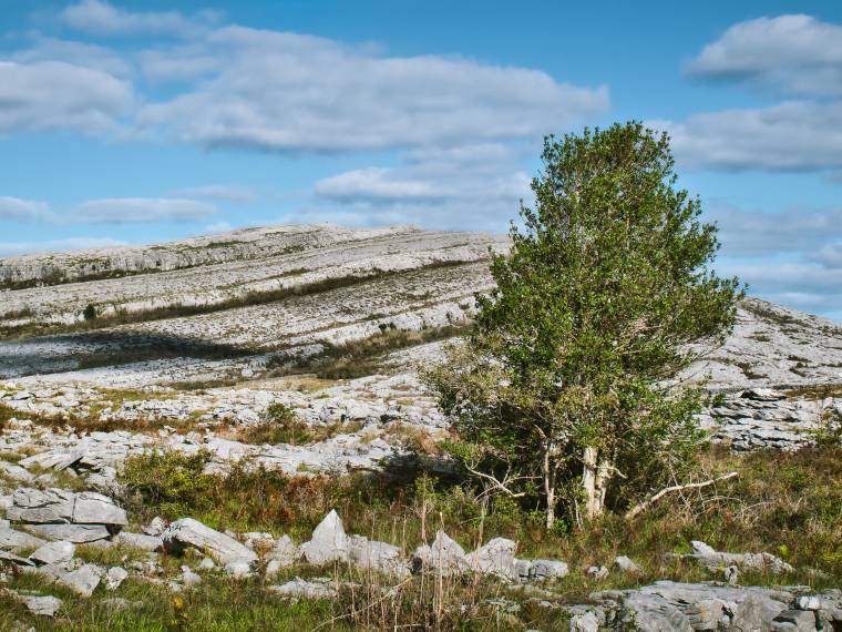 Burren, Irlande © Envato