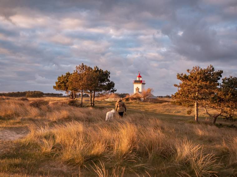 Point d-Agon, phare et chien, Agon-Coutainville © CRT Normandie - Alexandra Lefol