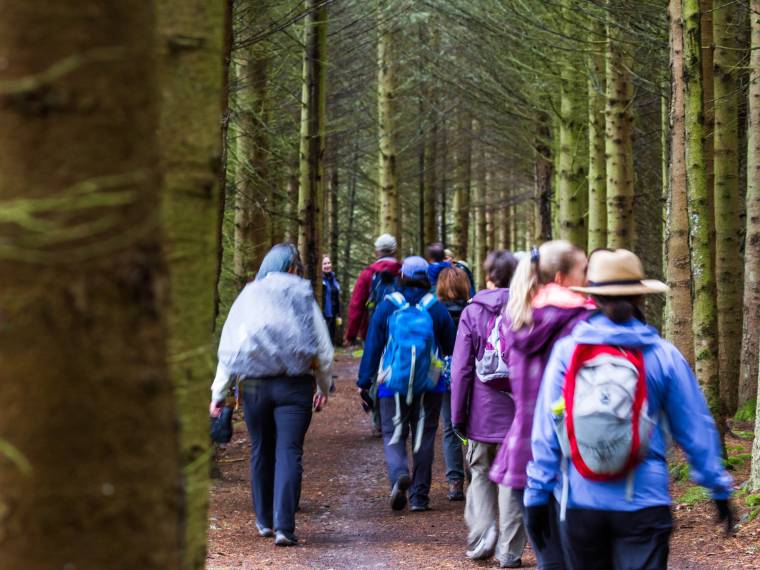 Randonnée en forêt © Envato
