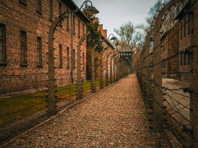 Auschwitz © Envato (1)