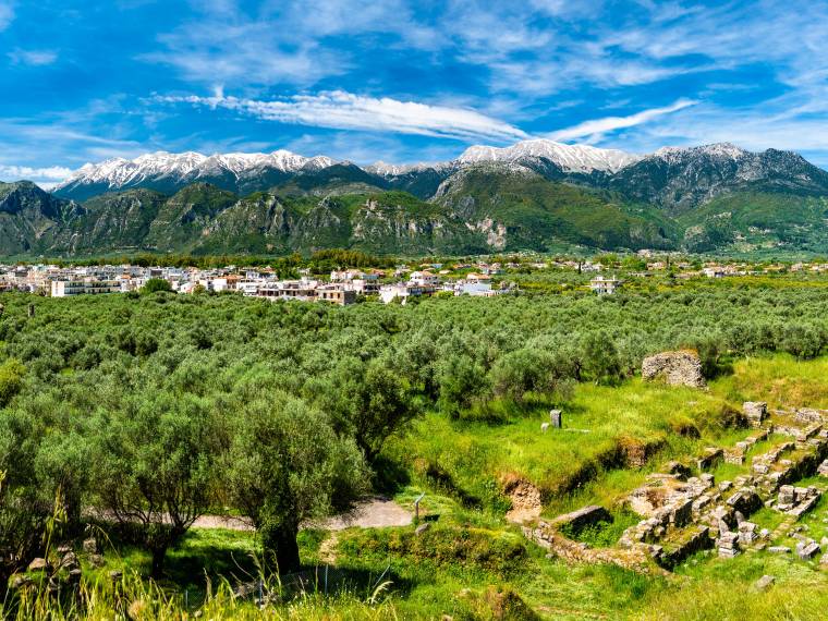 Sparte © AdobeStock