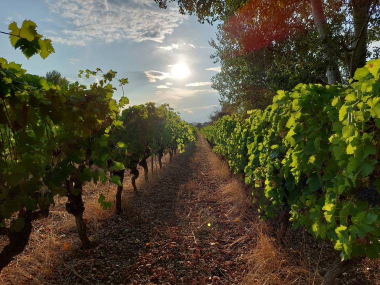 MAS LANDER © Cévennes Tourisme