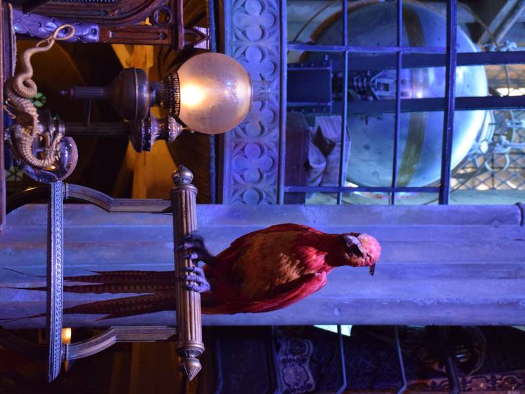 Studios Harry Potter Londres © Alexandra Potelle (65)