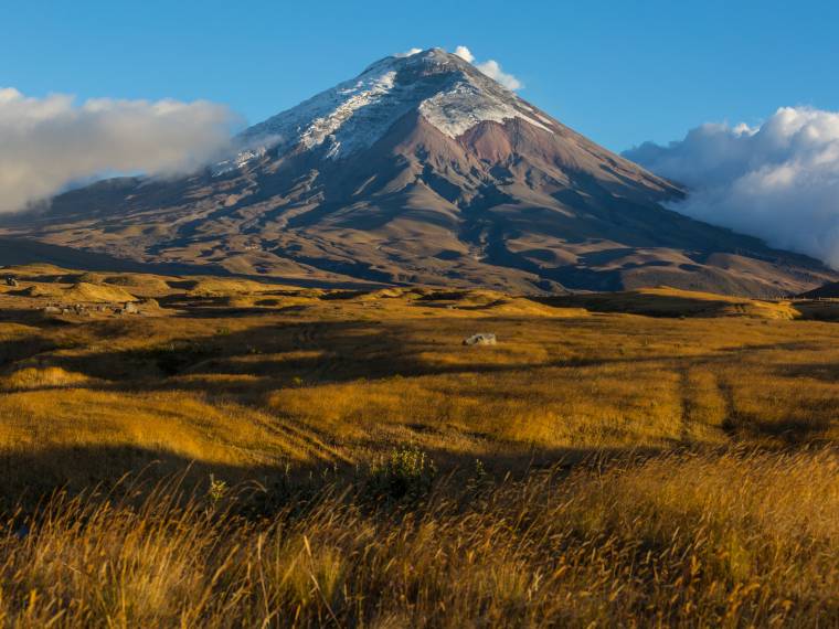 Parc National Cotopaxi, Equateur © Envato