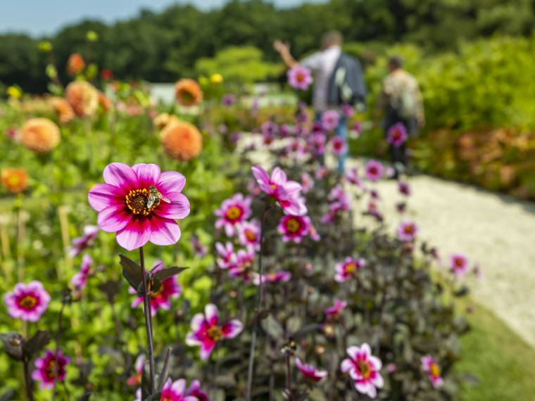 © Kasteeltuinen Arcen (6)