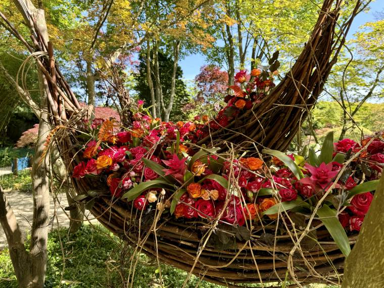 Festival des roses, Jardins du château d-Arcen © Eefke Hermans