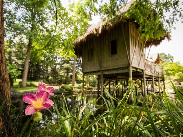 KasteeltuinenArcen_Tuinen_OosterseWatertuin_1