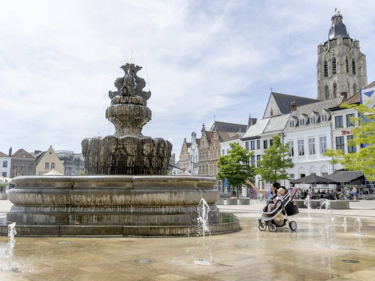 Fontaine et tour de Walburge ? David Samyn
