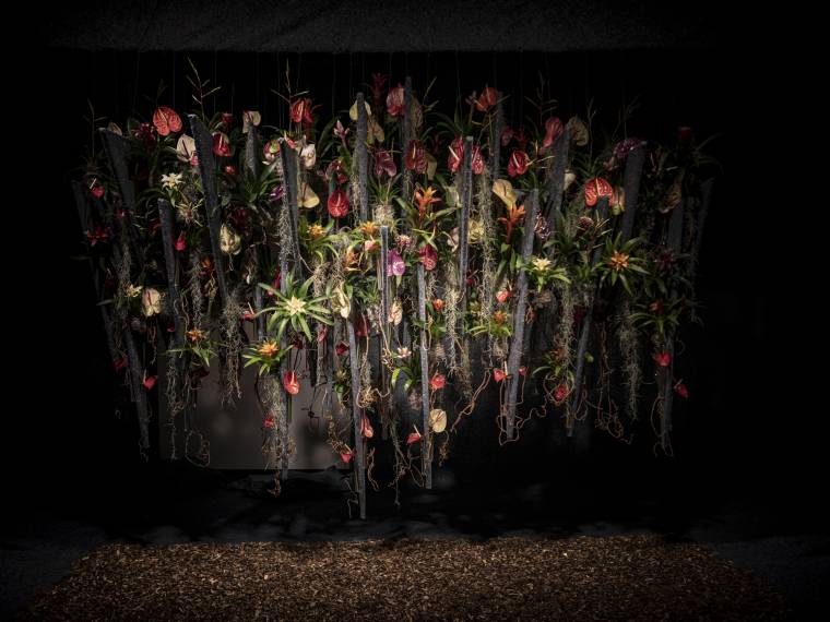 20220428 © Floralien 104