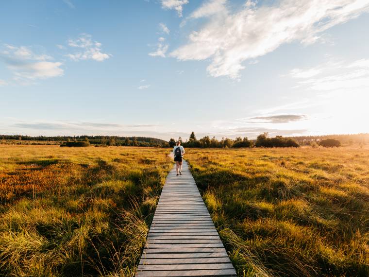 Maxime du Bus-Balade sur pilotis dans les Hautes Fagnes ©WBT