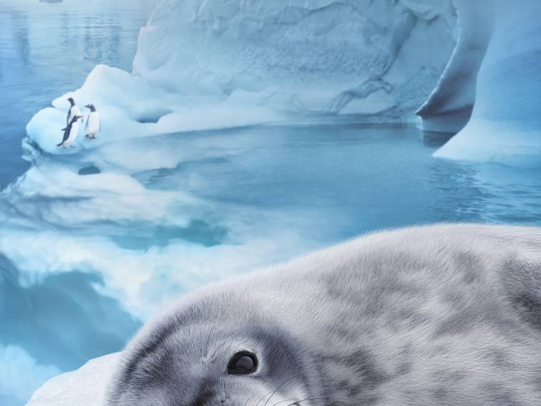 © Parc du FUTUROSCOPE (1)